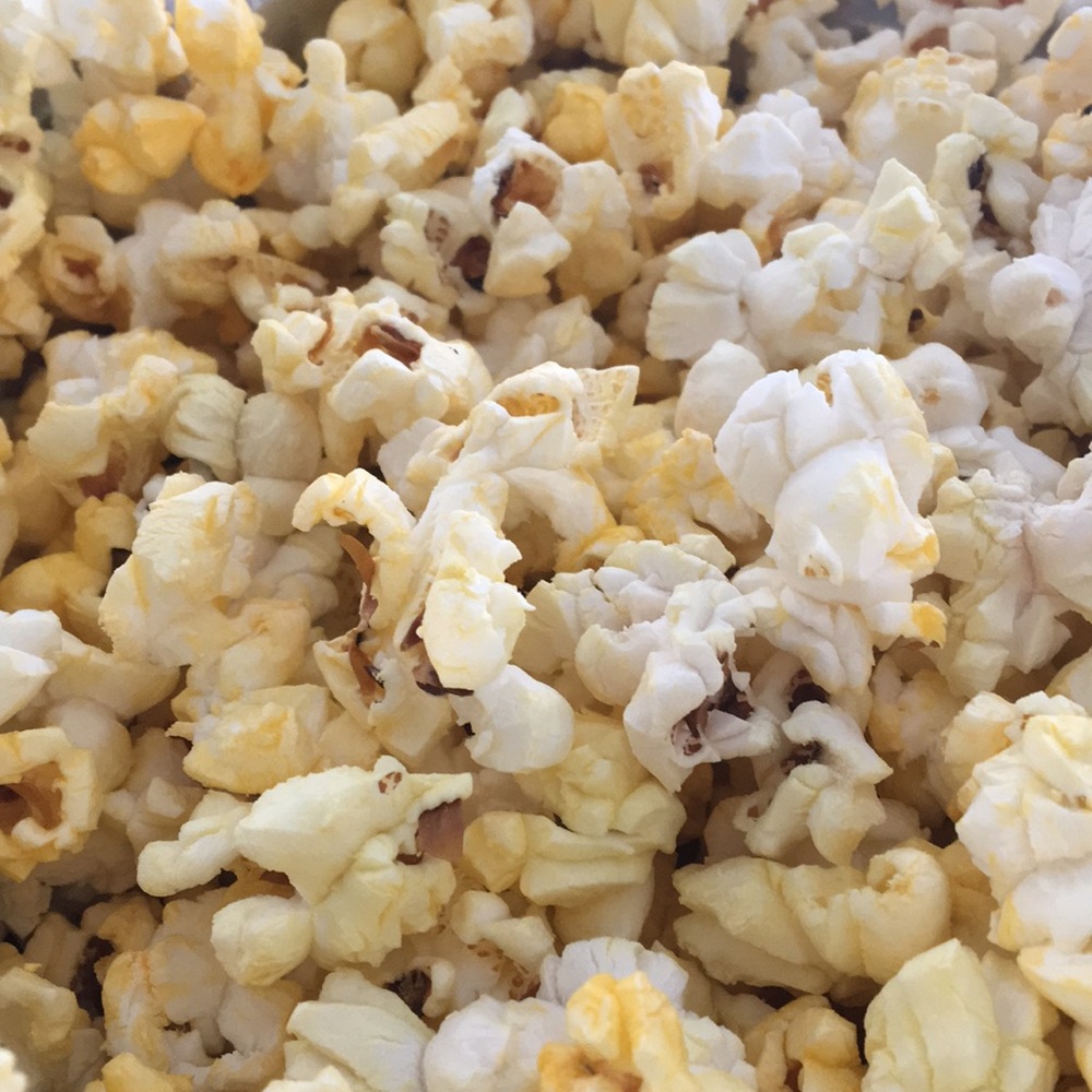 Meet your Posher, Scout